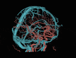 uct-9604ddongtaicta